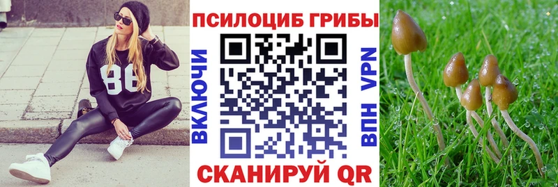 Галлюциногенные грибы MAGIC MUSHROOMS  Купить где  Калуга 