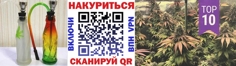 Конопля OG Kush  Купить  Калуга 